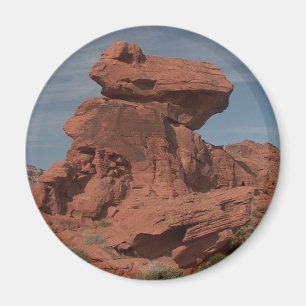 Imã Magnet de Parques do Estado