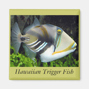 Imã Magnet De Peixes Tropicais Do Havaí