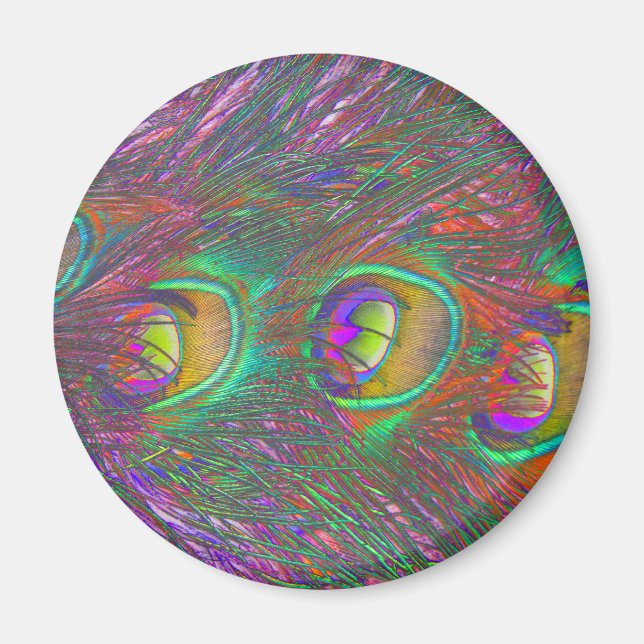 Imã Magnet de Penas de Peacock de Natal (Frente)