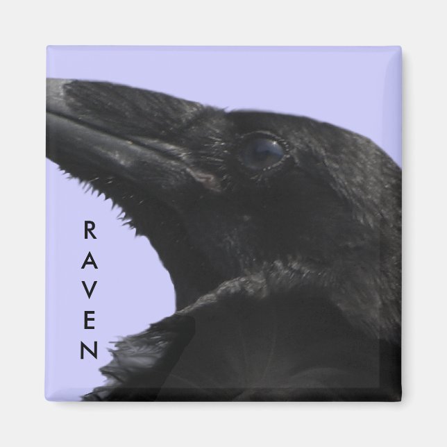 Imã Magnet de Perfil Raven (Frente)