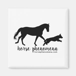 Imã Magnet de Phenomena Horse
