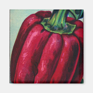Imã Magnet De Pimenta Vermelha Vintage