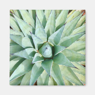 Imã Magnet De Planta De Agave Verde Sedona