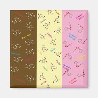 Imã Magnet de Química do Sorvete napolitano