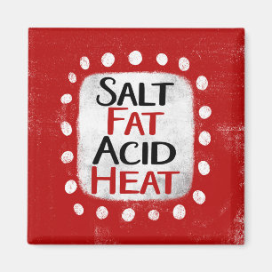 Imã Magnet De Refrigerador De Calor Com Ácido Gordo De