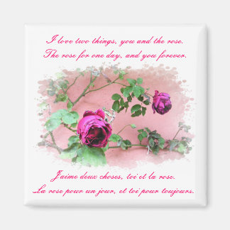 Imã Magnet de Rosas