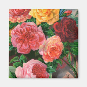 Imã Magnet de Rosas do Catálogo de Sementes 1
