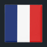 Imã Magnet de Sinalizador de Guyane<br><div class="desc">Íman decorativo com a bandeira da Guiana Francesa - Personalize-a: ajuste imagens; adicione um nome/slogan para presentes pessoais; adicione um logotipo de empresa/clube para itens de promocional © 2008 FlagAndMap.</div>