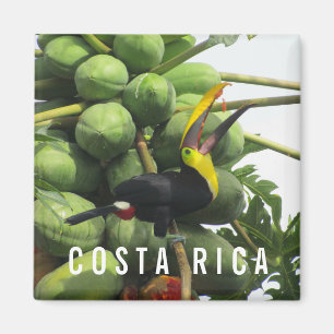 Imã Magnet De Souvenir, Tropical Costa Rica