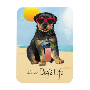 Ímã Magnet de Summer Rottweiler