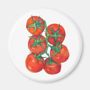 Imã Magnet de tomate vermelho