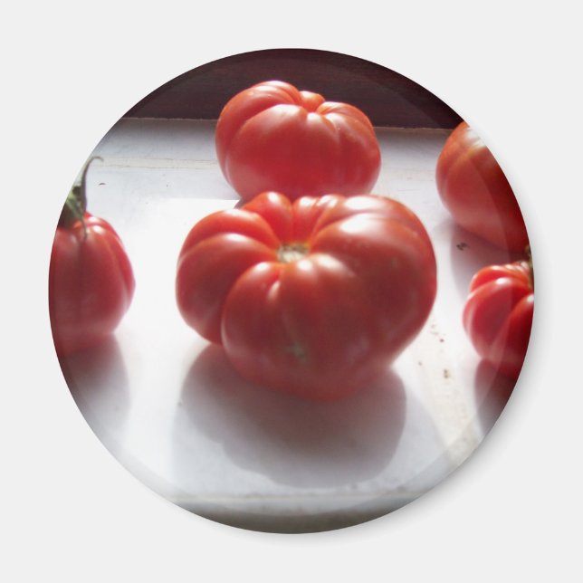 Imã Magnet De Tomates (Frente)