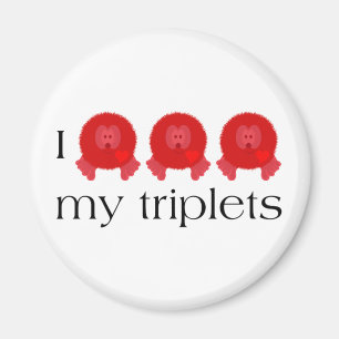 Imã Magnet De Tripletes Pom