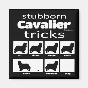 Imã Magnet De Truques Cavalier Teimais