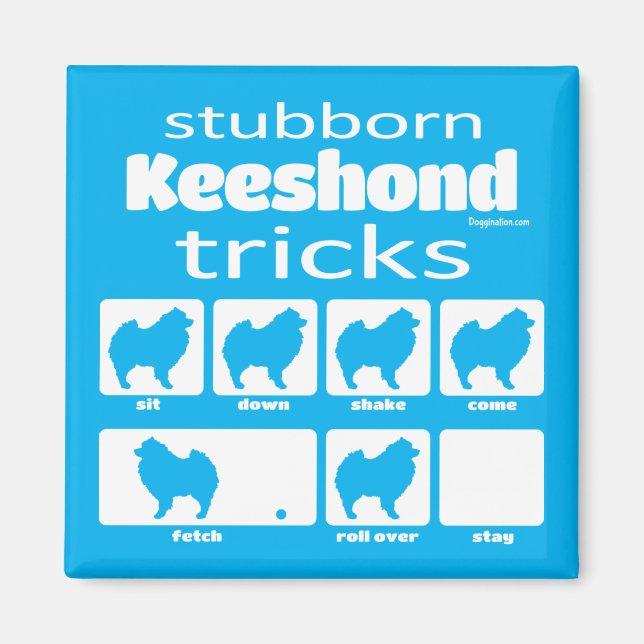Imã Magnet de Truques de Keeshond Stubborn (Frente)