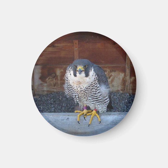 Imã Magnet de unidade (Frente)