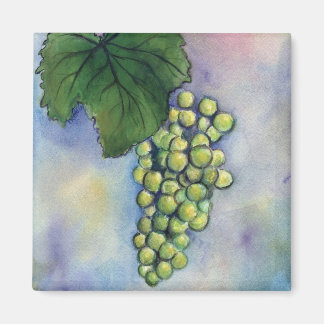 Imã Magnet De Uvas De Vinho Chardonnay