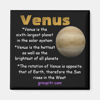 Imã Magnet de Venus do Groupitr Original