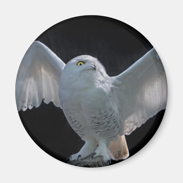 Imã Magnet De Verificação Antes Do Voo (Frente)