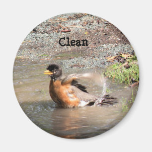 Imã Magnet, Dishwasher, Clean Robin
