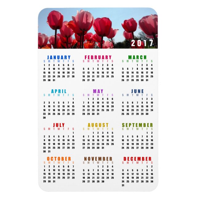Ímã Magnet do Calendário 2017 - Jardim das Tulipas Ros (Vertical)