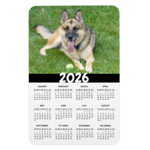 Ímã Magnet do Calendário do Cachorro 2026