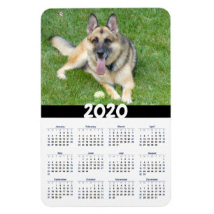 Ímã Magnet do Calendário do German shepherd Dog 2020
