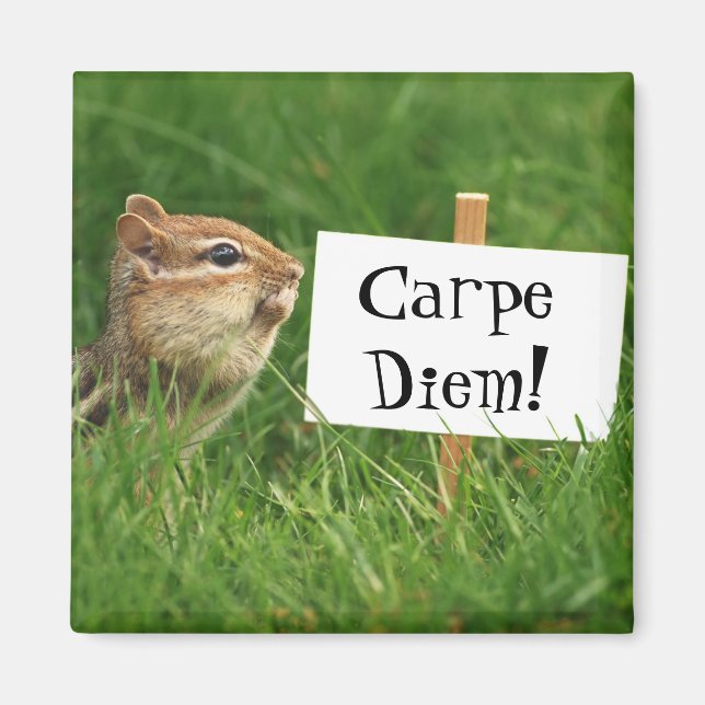 Imã Magnet do chipset Carpe Diem (Frente)