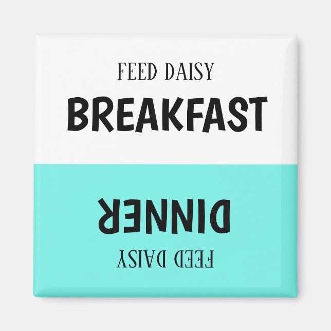 Imã Magnet do Controlador de Alimentação de Pet Person (Frente)