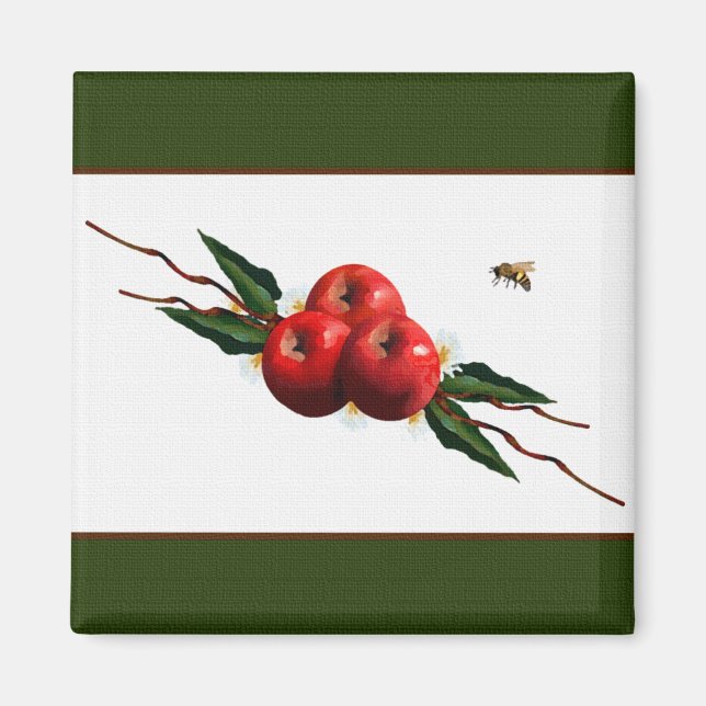 Imã Magnet do Designer de Maçã Vermelha (Frente)