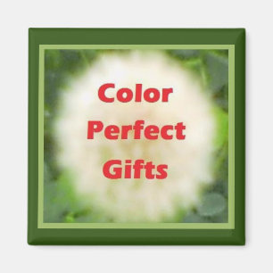 Imã Magnet do logotipo Dandelion