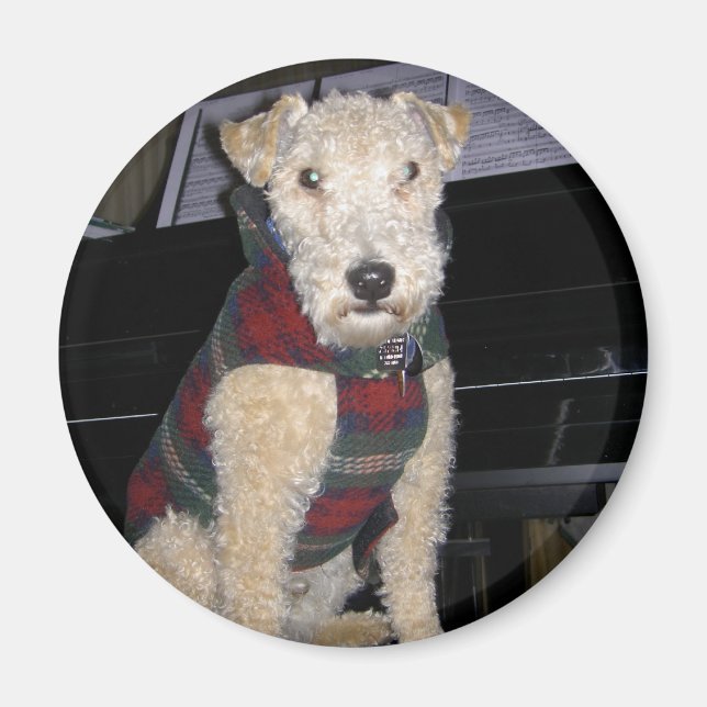 Imã Magnet do Maestro Groupie (Frente)