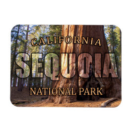 Ímã Magnet do Parque Nacional Sequoia