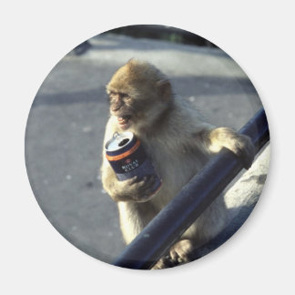 Imã Magnet do Problema de Bebida Macaco