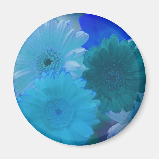 Imã Magnet do refrigerador da flor da Gerbera Daisy Az (Frente)