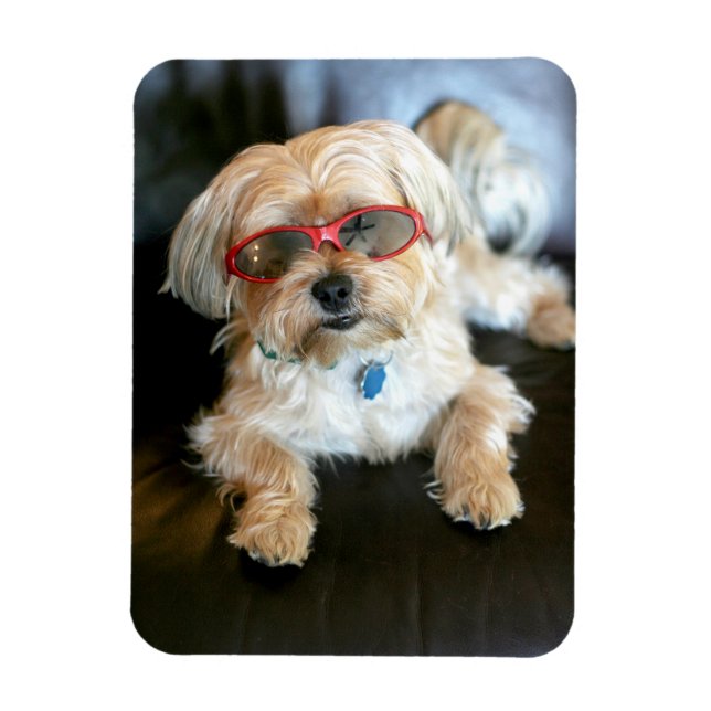 Ímã Magnet do Refrigerador de Fotos Personalizado (Vertical)