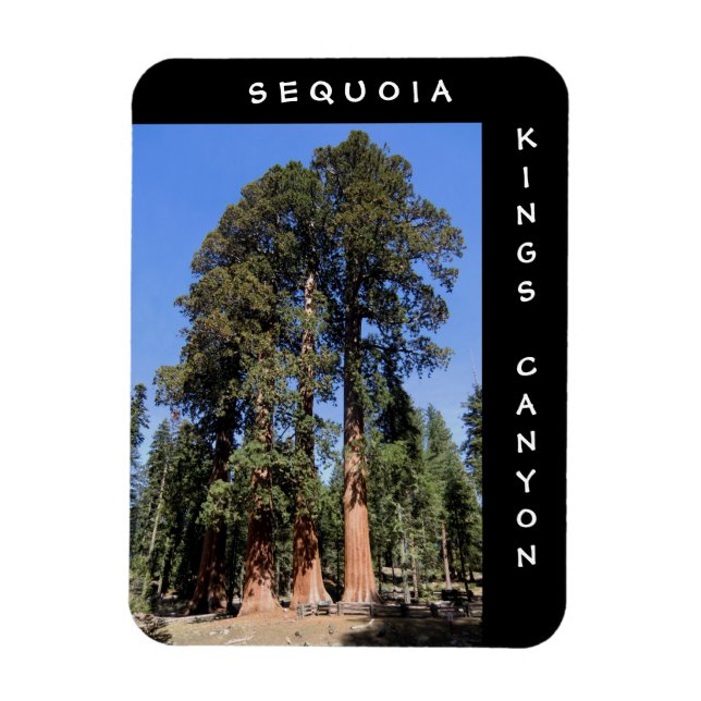 Ímã Magnet do Sequoia Kings Canyon (Vertical)