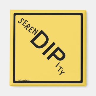 Imã Magnet do SerenDIPity