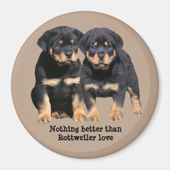 Imã Magnet dos Buddies Rottweiler (Frente)