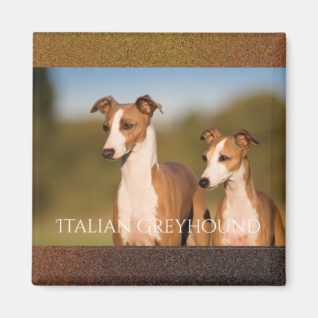 Imã Magnet dos galgos italianos (Frente)