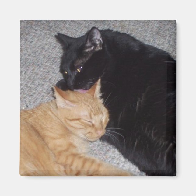 Imã Magnet dos melhores amigos (Frente)