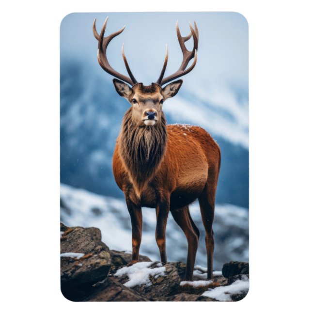 Ímã Magnet-Elk (Vertical)
