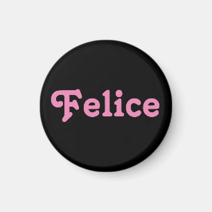 Imã Magnet Felice