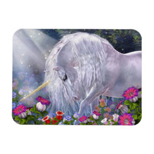 Ímã Magnet Flexi Avalon