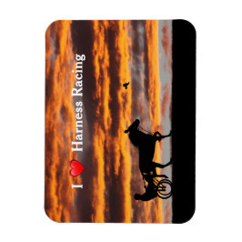 Ímã Magnet Flexível De Cavalo De Trote Padrão