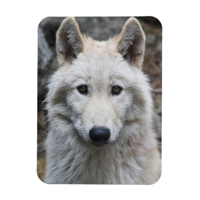 ÍMÃ MAGNET FLEXÍVEL DE WOLF BRANCO (Vertical)