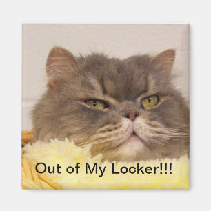 IMÃ MAGNET FORA DO BLOQUEIO