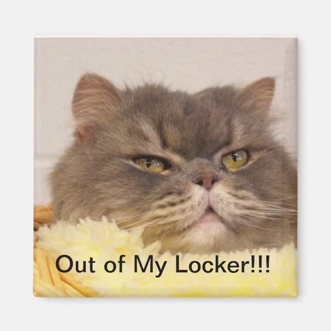 IMÃ MAGNET FORA DO BLOQUEIO (Frente)