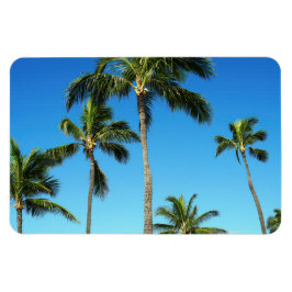 Ímã Magnet Fotográfico de Árvores de Coco Havaianas