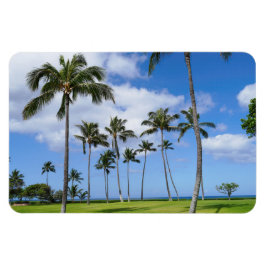 Ímã Magnet Fotográfico de Árvores de Coco Havaianas